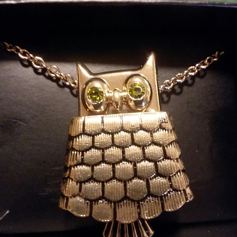 Owel locket and brooch  necklace